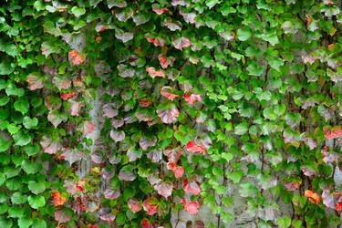 Similar image 6098016