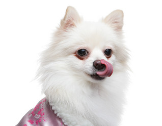 Similar image 6098052