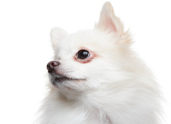 Similar image 6098073