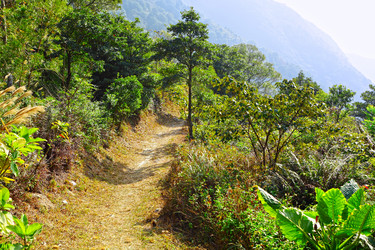 Similar image 6098083