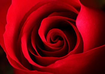 Similar image 6098153