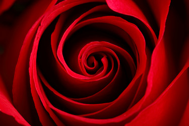 Similar image 6098185