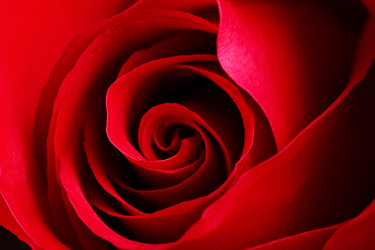 Similar image 6098187