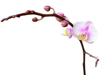 Similar image 6098266