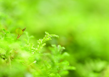 Similar image 6098487