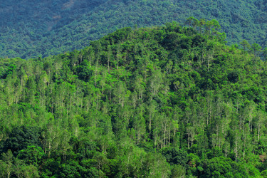 Similar image 6098556