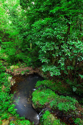 Similar image 6098579