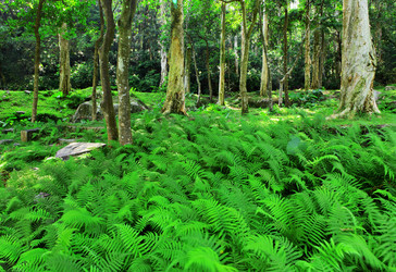 Similar image 6098583