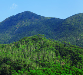 Similar image 6098586