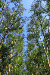 Similar image 6098589