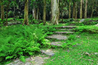 Similar image 6098592