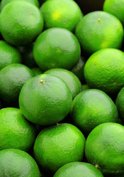 Similar image 6098655