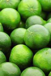 Similar image 6098661