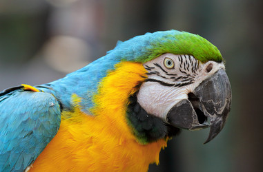 Similar image 6098700