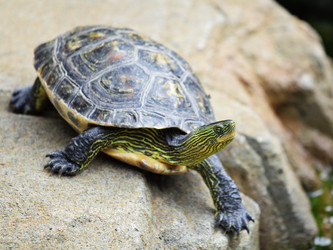 Similar image 6098703