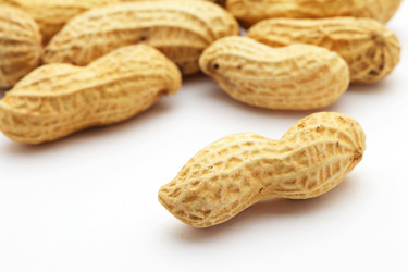 Similar image 6098714