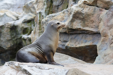 Similar image 6098746