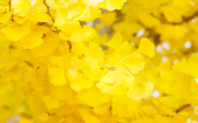 Similar image 6098783