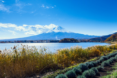 Similar image 6098798