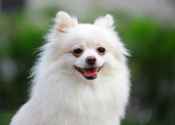 Similar image 6098841