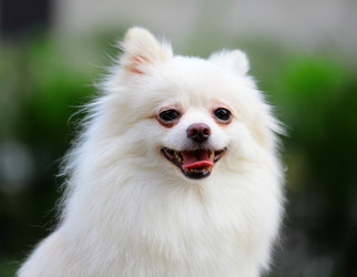 Similar image 6098842