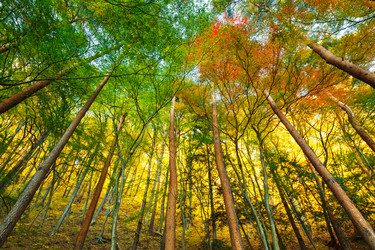 Similar image 6098859