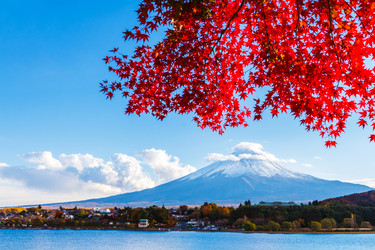 Similar image 6098871