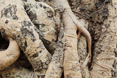 Similar image 6098933