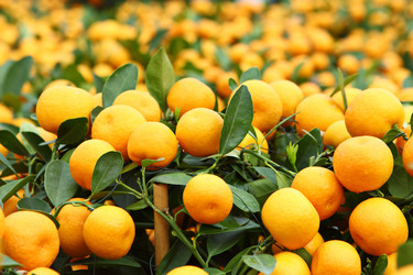 Similar image 6098955