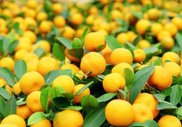 Similar image 6098957