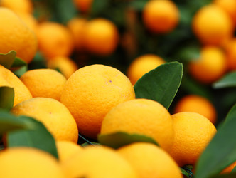 Similar image 6098959