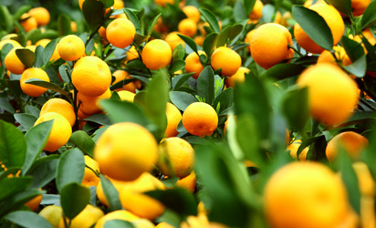 Similar image 6098971