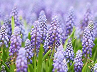 Similar image 6099083