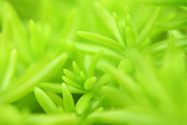 Similar image 6099093