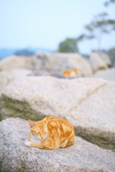 Similar image 6099163