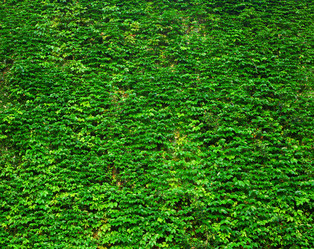 Similar image 6099169