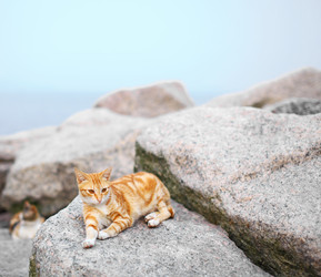 Similar image 6099172