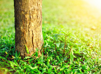 Similar image 6099190