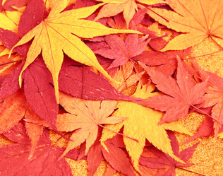 Similar image 6099355