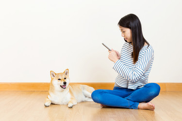 Similar image 6099583