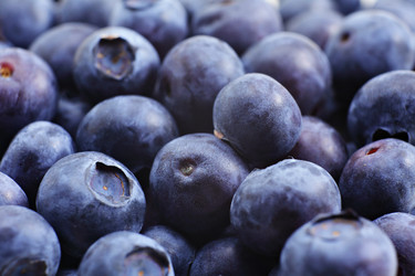 Similar image 6099779