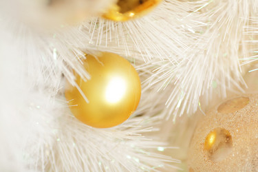 Similar image 6100100