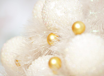 Similar image 6100101