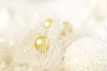 Similar image 6100102