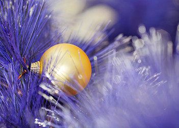 Similar image 6100104