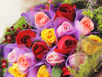 Similar image 6100120