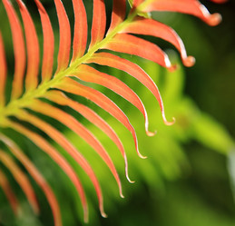 Similar image 6100131