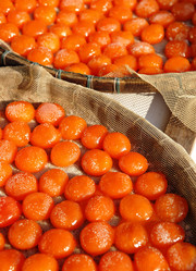 Similar image 6100146