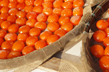 Similar image 6100173