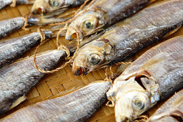 Similar image 6100184